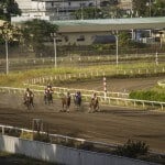 Die Siegwette beim Pferderennen ist sehr beliebt