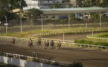 Die Siegwette beim Pferderennen ist sehr beliebt