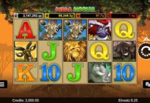 Mega Moolah Spielaufbau