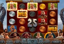 Vikings Go Berzerk Gewinn