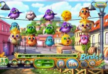 Birds Slot Spielaufbau