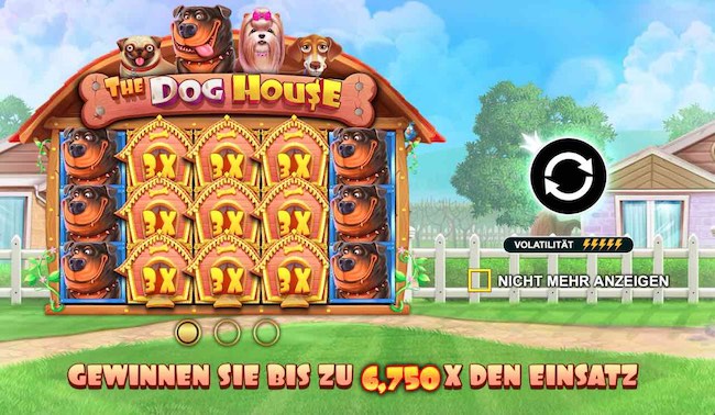 The Dog House Feature